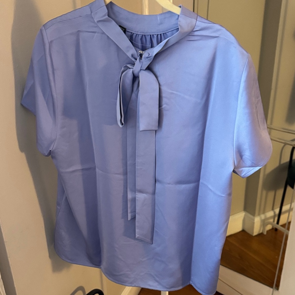 J. Crew Sky Blue Blouse with Bow Detail